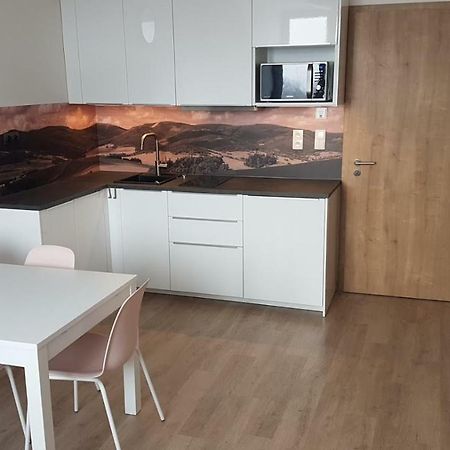 Apartmany Dolní Morava Eksteriør bilde