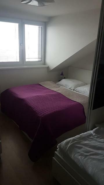 Apartmany Dolní Morava Eksteriør bilde